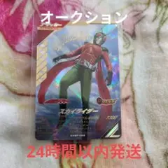 【新品未使用】スカイライダー LR