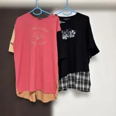 ドラッグストアーズF D.S.CLUB L セット2025