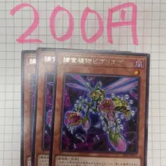 捕食植物ビブリスプ3枚セット