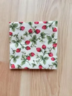 ハンドメイド サニタリーケース いちご柄