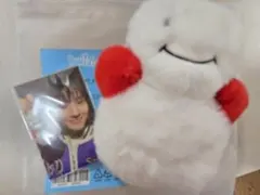 BBNEXDO WOONBABY ウナギ　キーリング・トレカセット