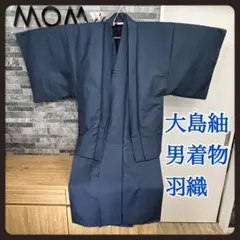 【極美品】正絹　男性　着物　大島紬　アンサンブル　袷　亀甲　紺　羽織　富士山絵柄