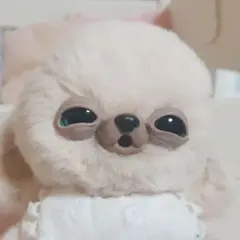 チワボボちゃん　にっこり☺　おしゃぶり付き　アートドール　ぬいぐるみ 2025年最新】チワボボの人気アイテム - メルカリ