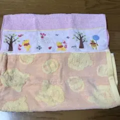 くまのプーさん ハンドタオル2枚セット