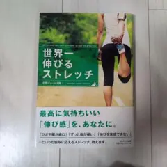世界一伸びるストレッチ