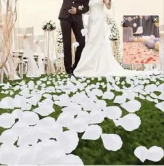 Item thumbnail for item 348e459d-2c4b-4a6b-8740-fbfaf2da272c