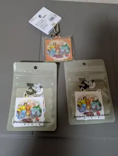 ポケモンセンター　ポケモン 30周年　ステッカーセット2点　キーホルダー