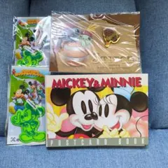 た*こ様 MICKEY & MINNIE ポストカードブック　リフレクタースティ