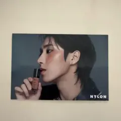 Stray Kids HAN NARSコラボ ポストカード
