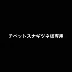専用ページ
