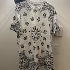 Supreme Hanes ペイズリー、バンダナ柄 Tシャツ