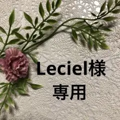 羊毛フェルト　ミヌエット　猫ちゃん2匹セット　Leciel様専用