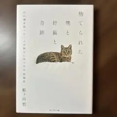 捨てられた僕と母猫と奇跡 : 心に傷を負った二人が新たに見つけた居場所