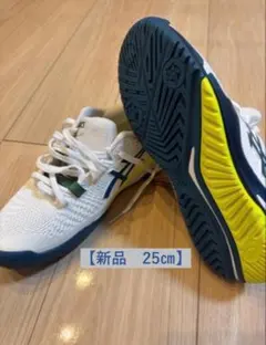 新品 ゲルレゾリューション9 GEL-RESOLUTION 9 25cm AC