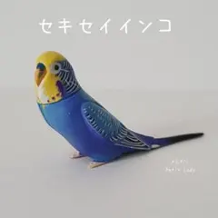 チョコQ ペット動物 第3弾 セキセイインコ レインボーのサムネイル