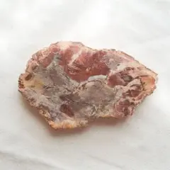 ペトリファイドウッド 1
