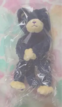 うたの☆プリンスさまっ♪ うたプリ PRINCE CAT 一ノ瀬トキヤ アイリス