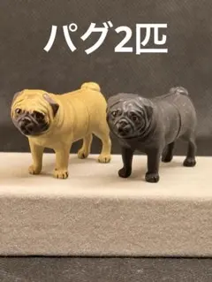 海洋堂 チョコq 日本の動物　犬　パグ　色違い　2匹