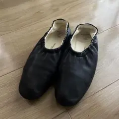 BEAUTIFUL SHOES／BALLET SHOESのサムネイル
