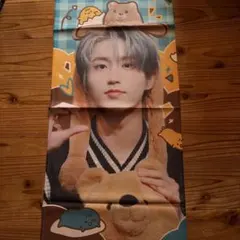 Stray Kids スキズ ハン ハンジソン スローガン