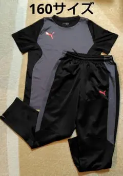 PUMA Tシャツ　スポーツパンツ　セット