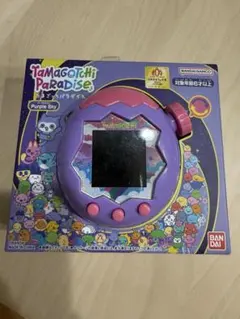 Item thumbnail for item 3a1ccfc2-22cb-4621-8f53-82e3514095e4