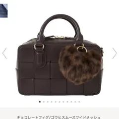 2025年最新】ダイアナ メッシュ バッグの人気アイテム - メルカリ