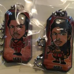 【非売品】【未使用品】AKIRA 　クリーナー　２個セット　レア