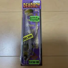 ☆新品☆デッドボーイRAID DEADBOY スイムベイト ルアー2個セット