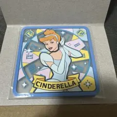 ディズニープリンセス　クリアラバーコースター