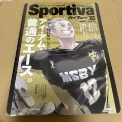 ハイキュー Sportiva 木兎光太郎 ビジュアルボード