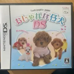 おしゃれな仔犬DS