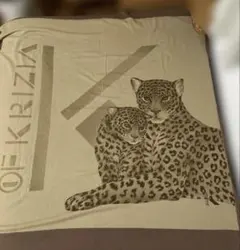 Item thumbnail for item 2023aa54-dbb4-4138-9e32-ce709730f891