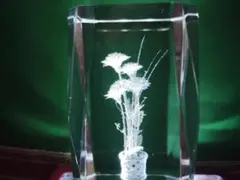 Item thumbnail for item 57f81dce-3850-49a4-ae8f-3910b573c308