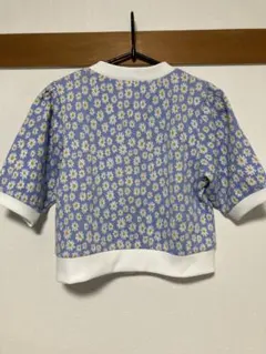 Item thumbnail for item 41630dcd-2e37-4eba-8395-44de75aa3c57