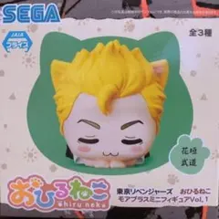 東京リベンジャーズ おひるねこ 花垣武道