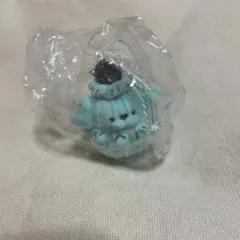 ホイプーフロッキーマスカット　チョコミント①