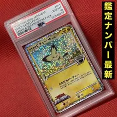 2026年最新】ギザみみピチューm psaの人気アイテム - メルカリ