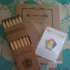 嵐のワクワク学校2013コンサートグッズ