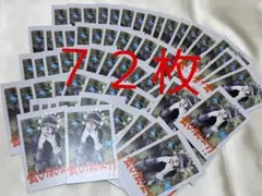 &TEAM EJ ウィジュ Back to Life トレカ チェキ