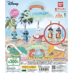 めじるしアクセサリー SUMMER ディズニー　チップ　デール