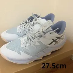 Item thumbnail for item 91fc28f8-e464-4e0b-9699-e3af1427a202