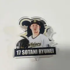 ビジター球場限定　シークレットアクリルピンバッジ　曽谷龍平