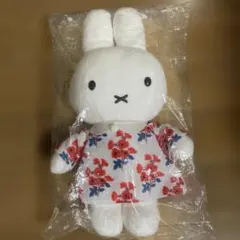 Item thumbnail for item 1015ffbd-b6bb-489f-ae43-2703c3f4e321