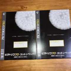 ピクトリコプロ ホワイトフィルムA4サイズ（10枚入） PPF150-A4/10