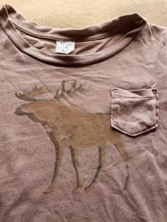 Tシャツ　 アバクロンビー&フィッチ　子供服150㎝としても