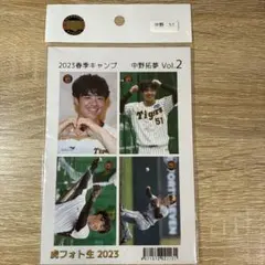 Item thumbnail for item 3ec12345-c941-4e9c-9e41-79a8f01e495f