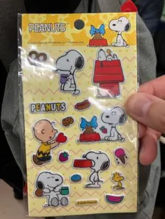 Item thumbnail for item 0df428b0-5145-46f7-ac5d-19d8f52309cd