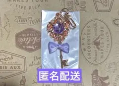 ディズニーストア シークレットキーチェーン ラプンツェル キーホルダー 紫