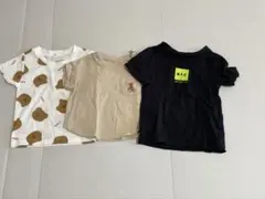 クマ柄と無地のTシャツ3枚セット